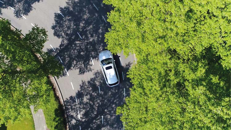 Bird's eye view of a car driving on a road with trees on each side of the road.